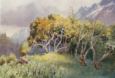 Sobre el campamento, Sonamarg, Valle de Sind